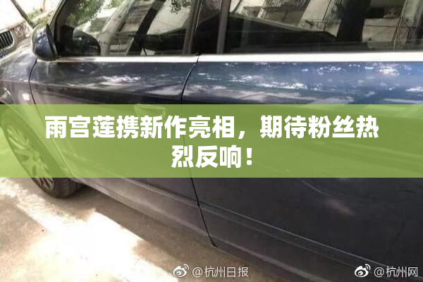 雨宫莲携新作亮相，期待粉丝热烈反响！