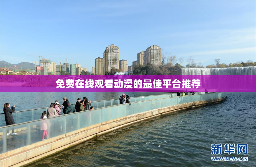 免费在线观看动漫的最佳平台推荐