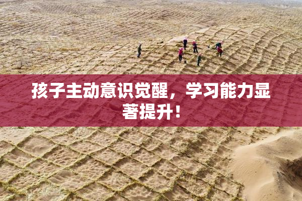 孩子主动意识觉醒，学习能力显著提升！