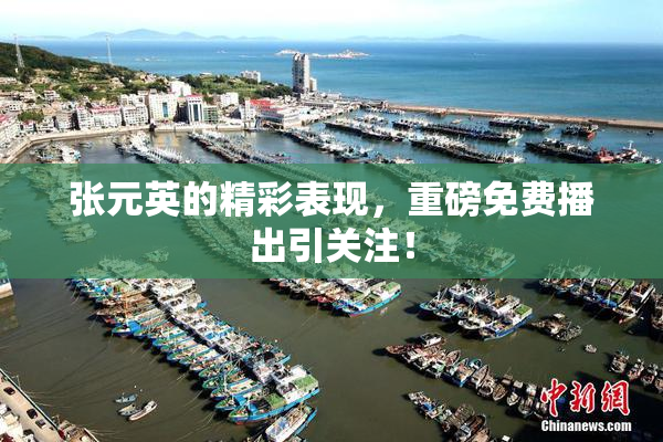 张元英的精彩表现，重磅免费播出引关注！