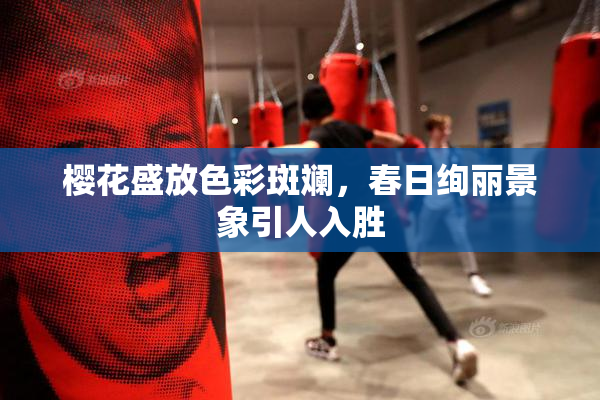 樱花盛放色彩斑斓，春日绚丽景象引人入胜