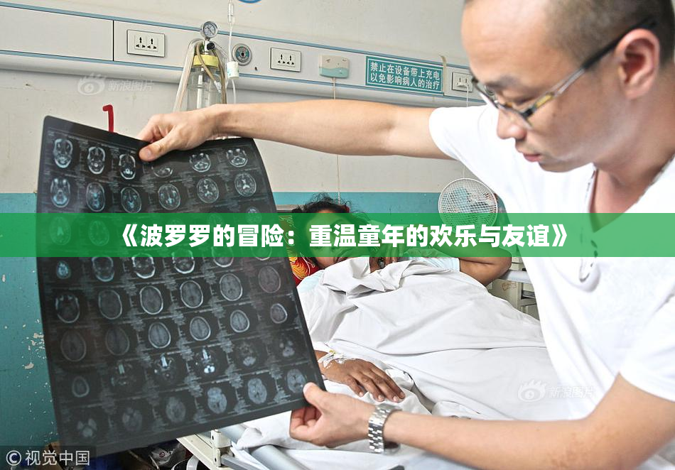 《波罗罗的冒险：重温童年的欢乐与友谊》