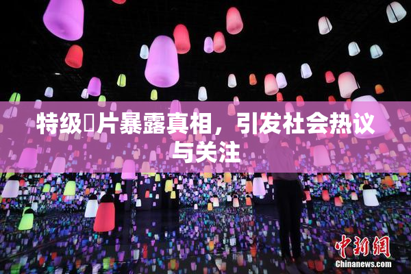 特级婬片暴露真相，引发社会热议与关注