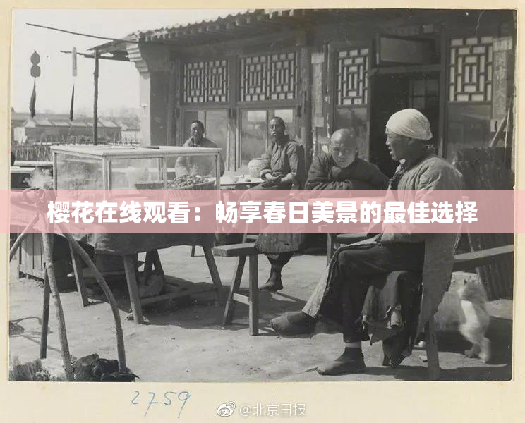 樱花在线观看：畅享春日美景的最佳选择