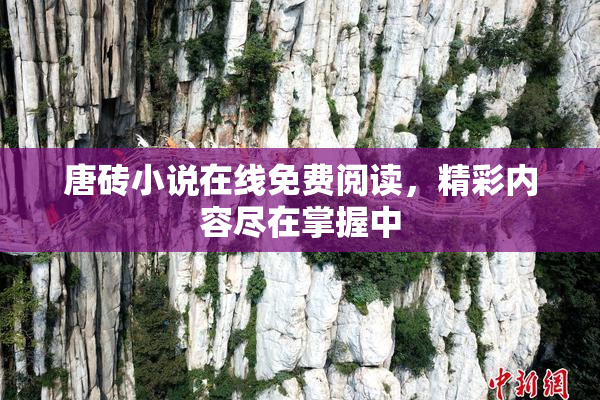 唐砖小说在线免费阅读，精彩内容尽在掌握中