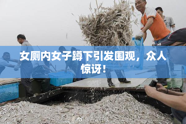 女厕内女子蹲下引发围观，众人惊讶！