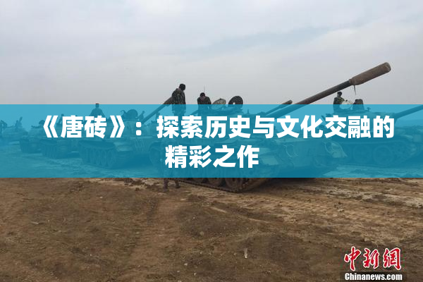 《唐砖》：探索历史与文化交融的精彩之作