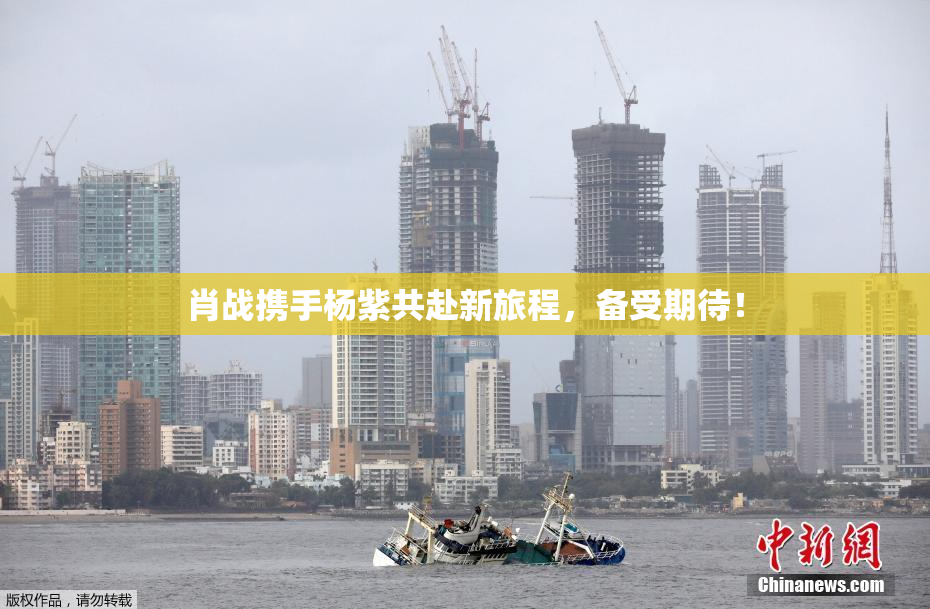 肖战携手杨紫共赴新旅程，备受期待！
