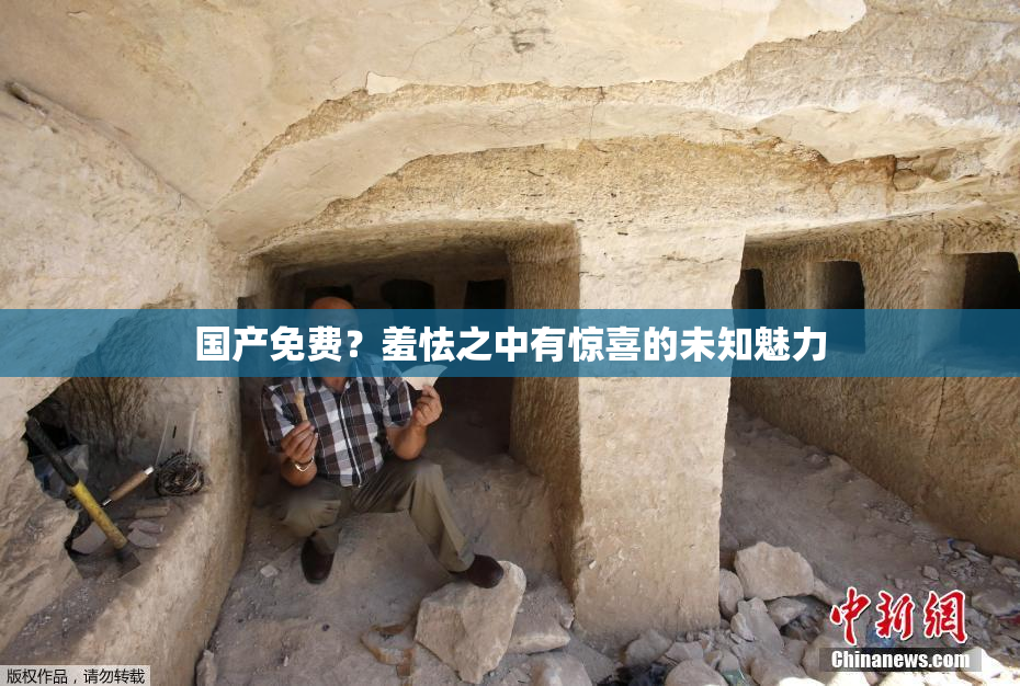 国产免费？羞怯之中有惊喜的未知魅力