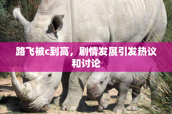 路飞被c到高，剧情发展引发热议和讨论