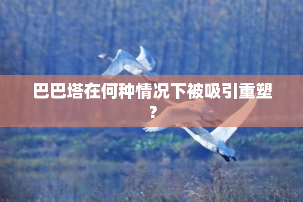 巴巴塔在何种情况下被吸引重塑？
