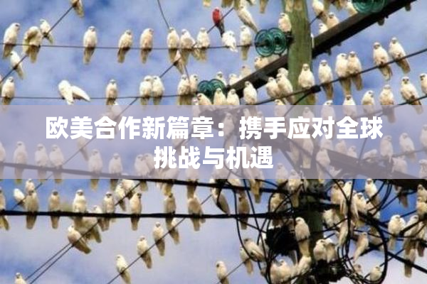欧美合作新篇章：携手应对全球挑战与机遇
