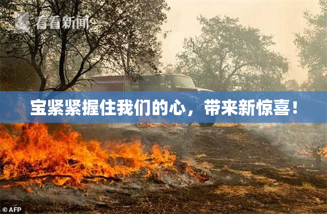 宝紧紧握住我们的心，带来新惊喜！