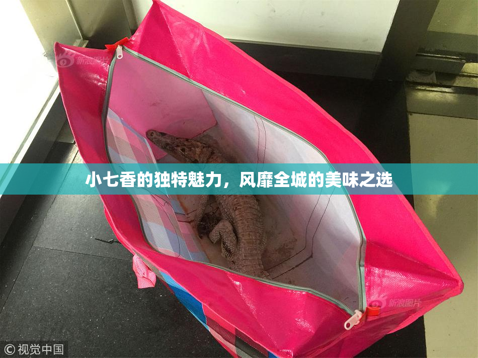 小七香的独特魅力，风靡全城的美味之选