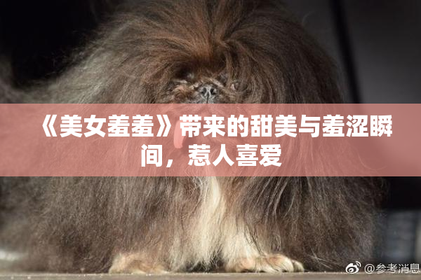 《美女羞羞》带来的甜美与羞涩瞬间，惹人喜爱