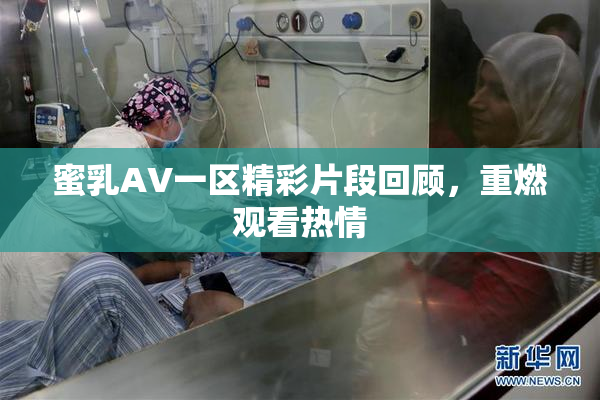 蜜乳AV一区精彩片段回顾，重燃观看热情