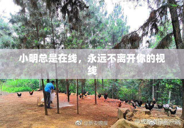 小明总是在线，永远不离开你的视线