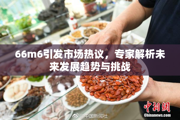 66m6引发市场热议，专家解析未来发展趋势与挑战