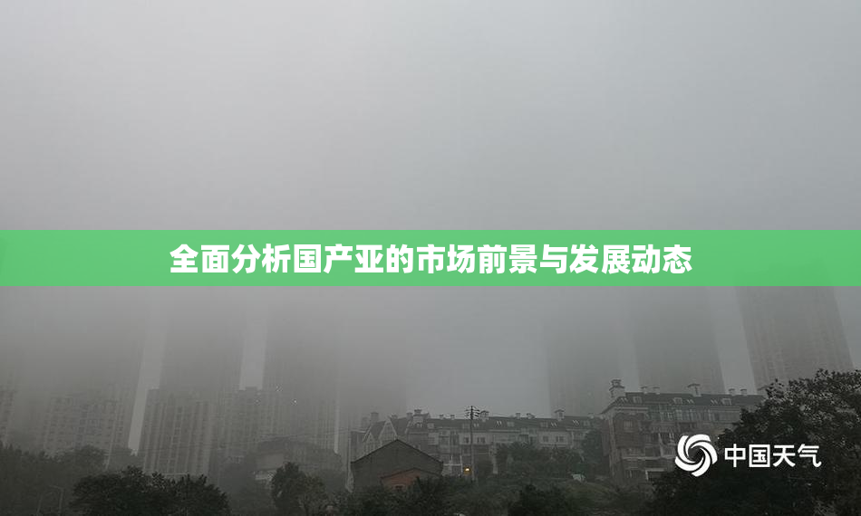 全面分析国产亚的市场前景与发展动态