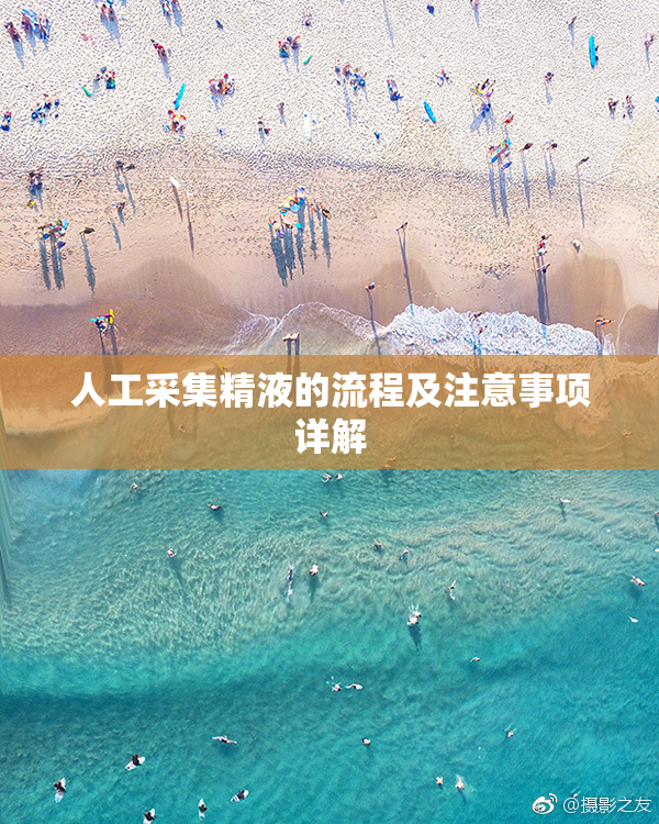人工采集精液的流程及注意事项详解