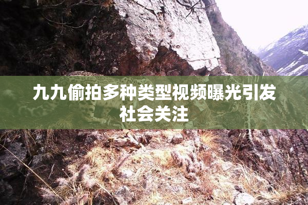 九九偷拍多种类型视频曝光引发社会关注