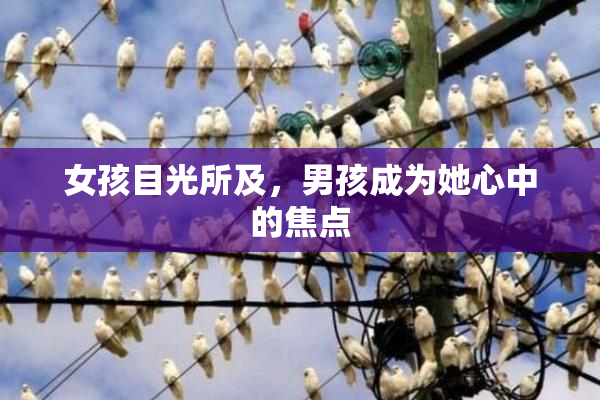 女孩目光所及，男孩成为她心中的焦点