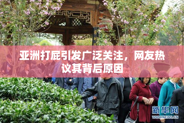 亚洲打屁引发广泛关注，网友热议其背后原因