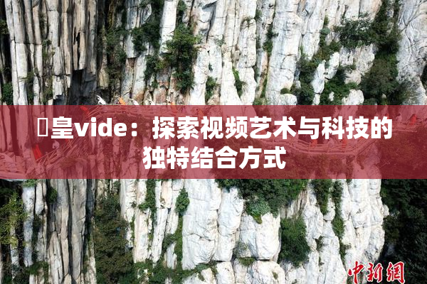 嘼皇vide：探索视频艺术与科技的独特结合方式