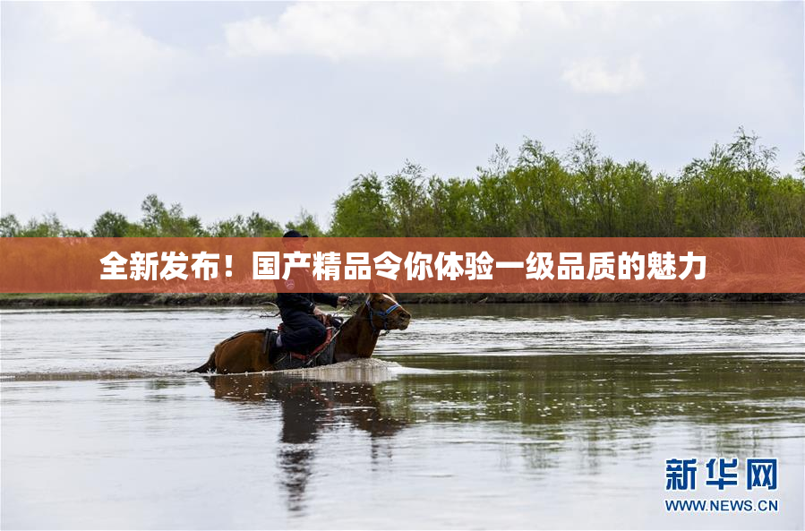 全新发布！国产精品令你体验一级品质的魅力