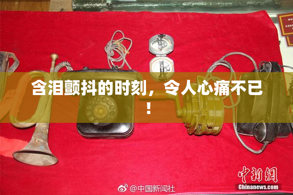 含泪颤抖的时刻，令人心痛不已！