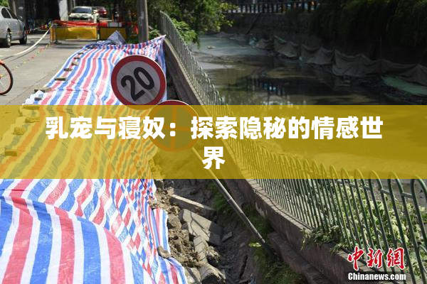 乳宠与寝奴：探索隐秘的情感世界