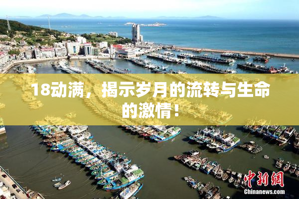 18动满，揭示岁月的流转与生命的激情！