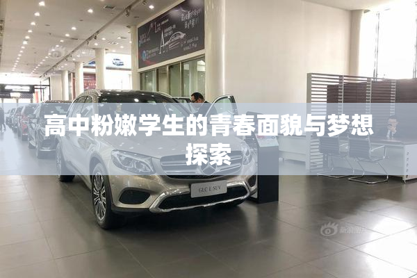 高中粉嫩学生的青春面貌与梦想探索
