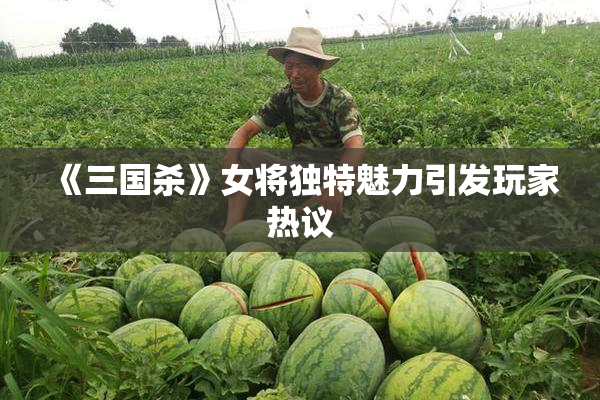 《三国杀》女将独特魅力引发玩家热议