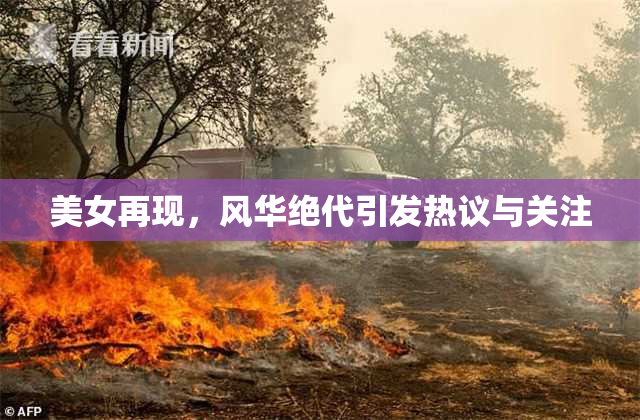 美女再现，风华绝代引发热议与关注