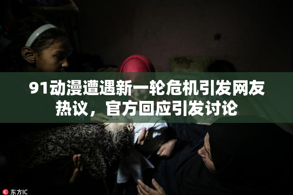 91动漫遭遇新一轮危机引发网友热议，官方回应引发讨论