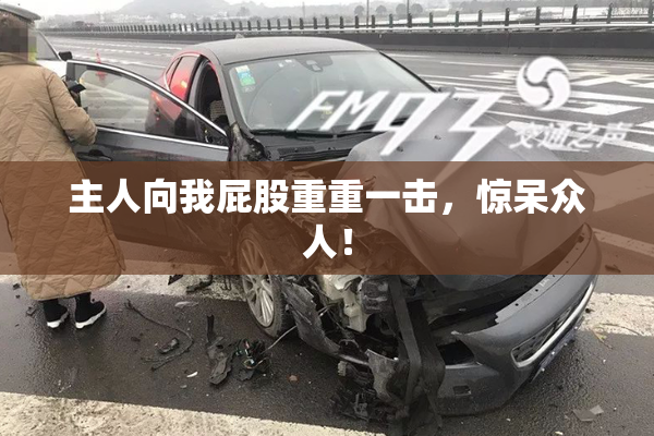 主人向我屁股重重一击，惊呆众人！