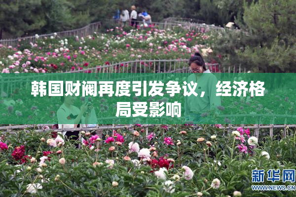 韩国财阀再度引发争议，经济格局受影响