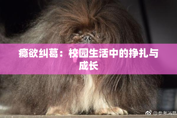瘾欲纠葛：校园生活中的挣扎与成长