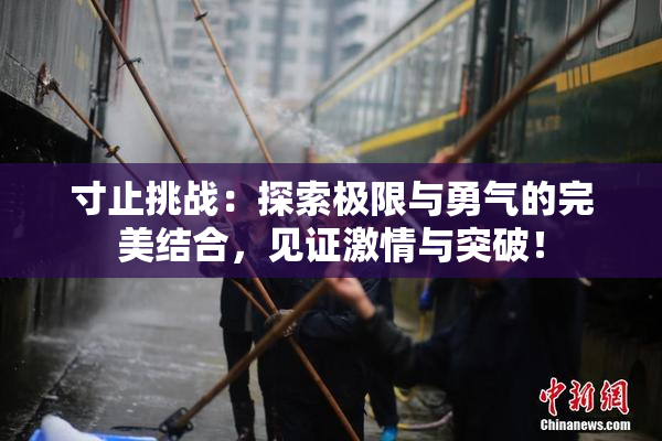 寸止挑战：探索极限与勇气的完美结合，见证激情与突破！