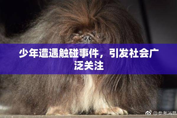 少年遭遇触碰事件，引发社会广泛关注
