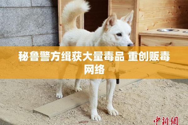 秘鲁警方缉获大量毒品 重创贩毒网络