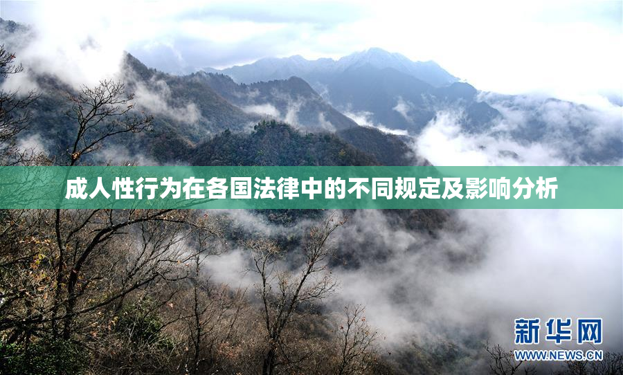 成人性行为在各国法律中的不同规定及影响分析