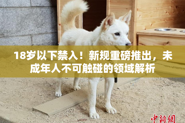 18岁以下禁入！新规重磅推出，未成年人不可触碰的领域解析