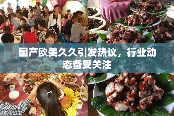 国产欧美久久引发热议，行业动态备受关注