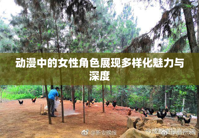 动漫中的女性角色展现多样化魅力与深度