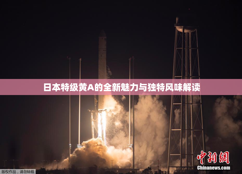 日本特级黄A的全新魅力与独特风味解读
