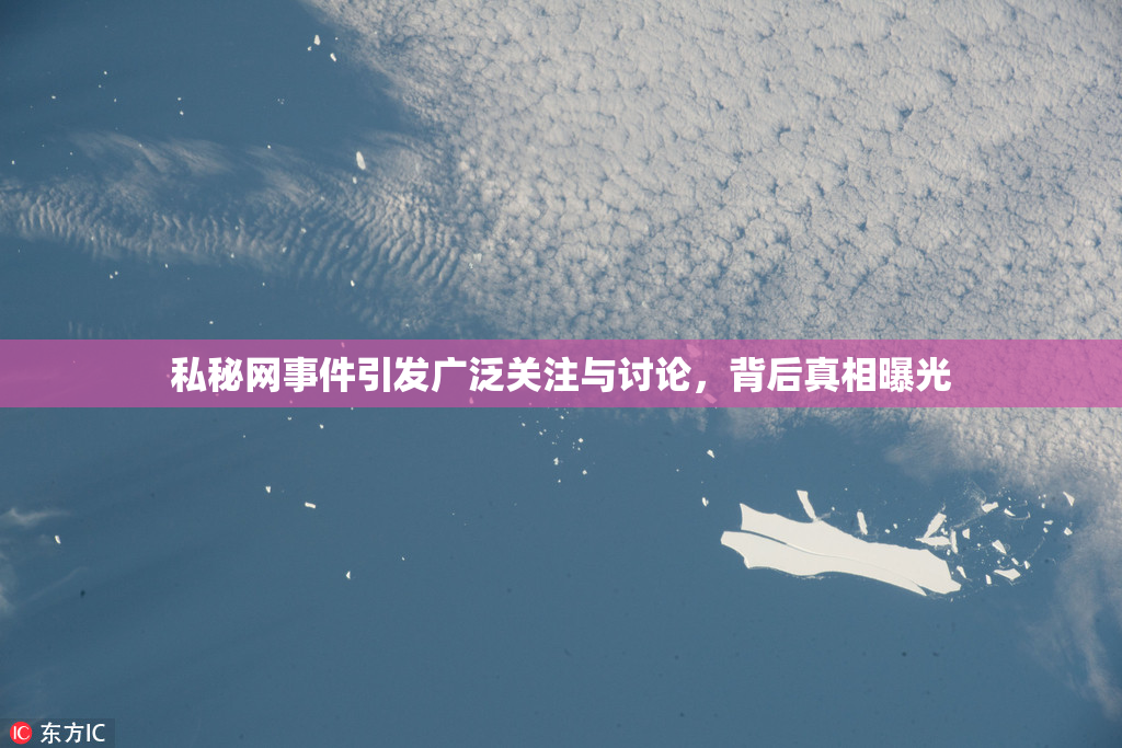 私秘网事件引发广泛关注与讨论，背后真相曝光