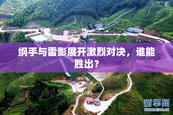 纲手与雷影展开激烈对决，谁能胜出？