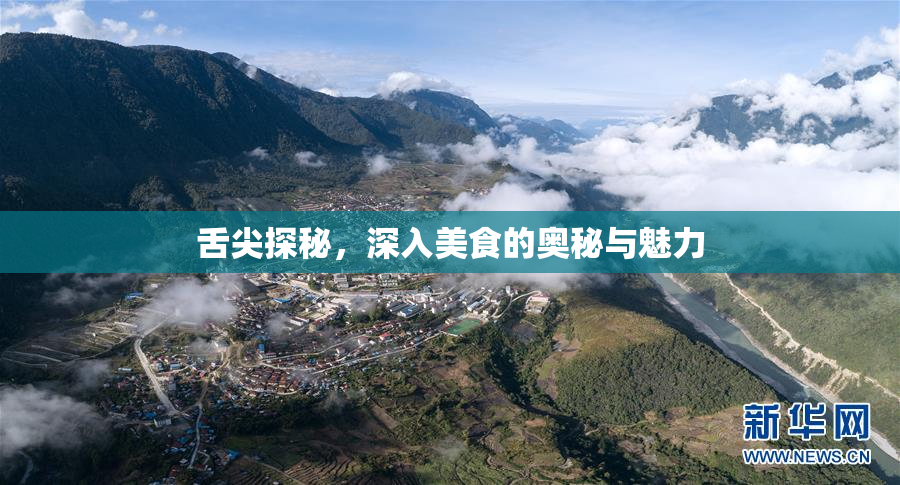 舌尖探秘，深入美食的奥秘与魅力